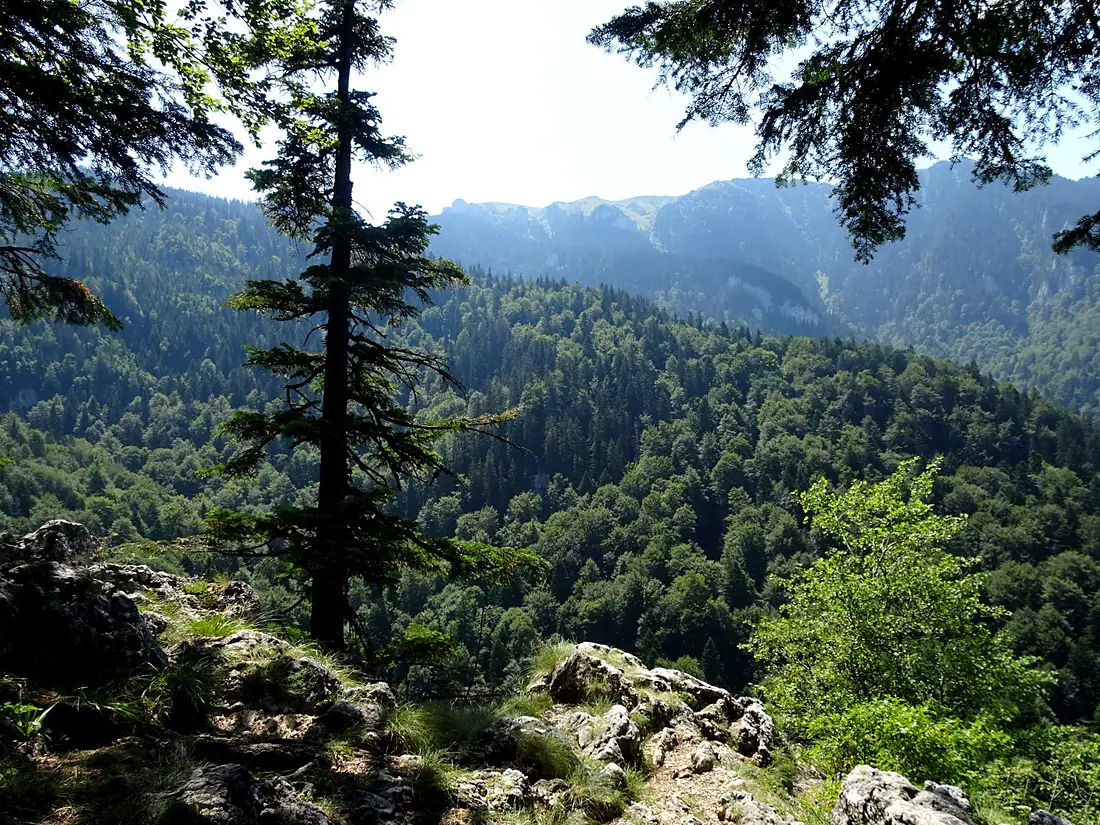 RO Prapastia Ursului belvedere 1