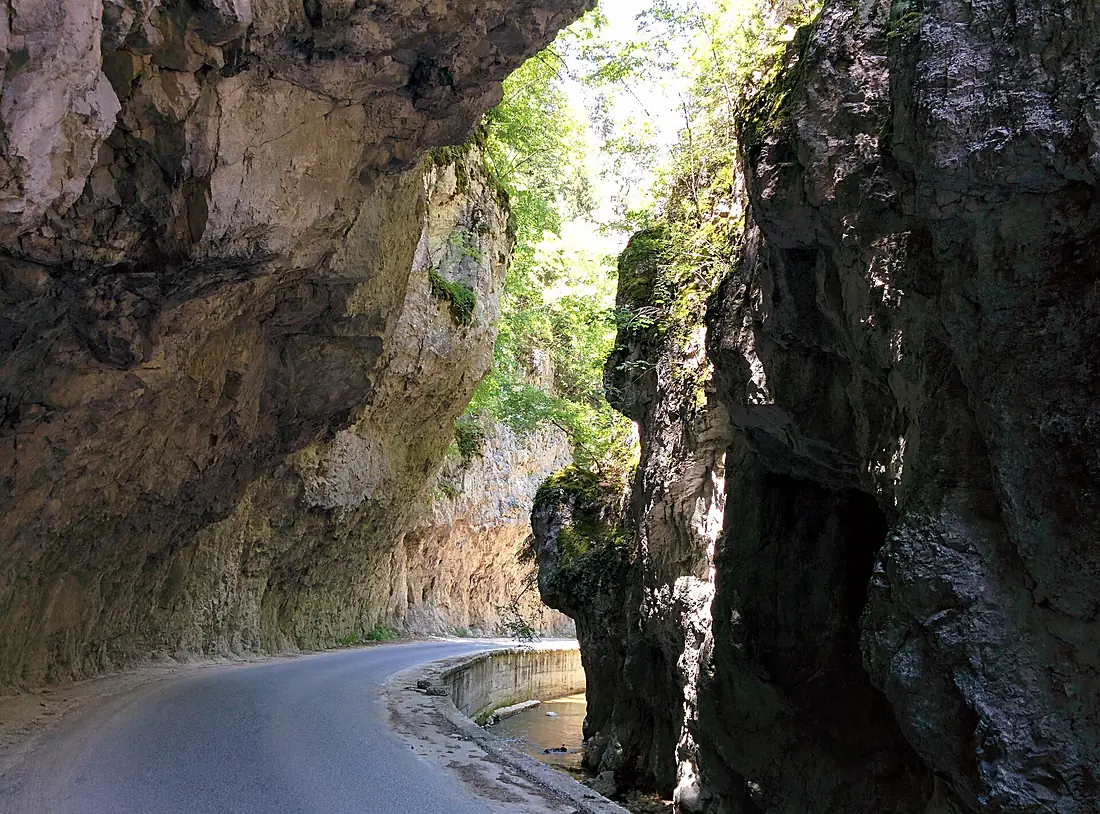 Smolyan Province - Borino Municipality - Village of Yagodina - Buynovsko Gorge (1)