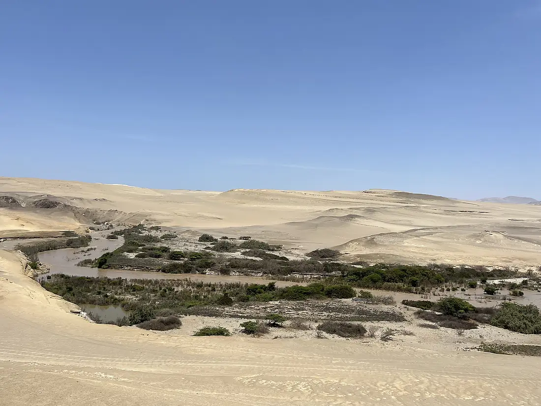 Oasis en el cañon de los Perdidos
