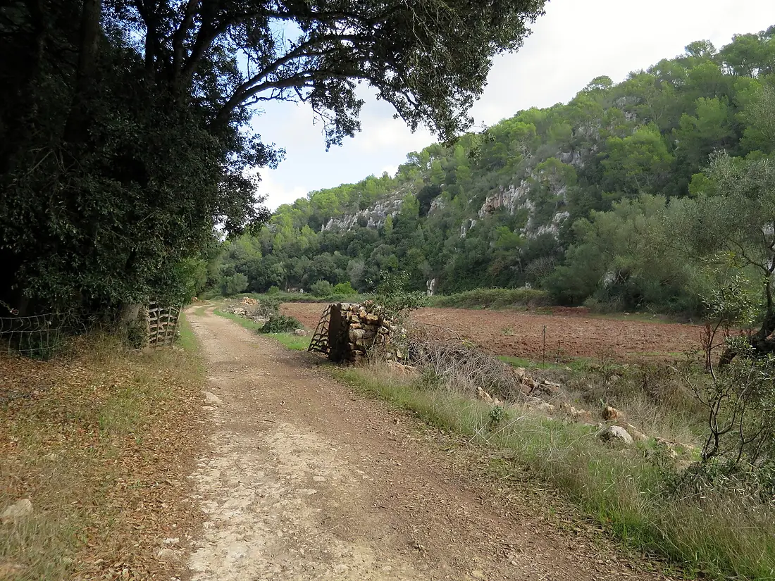 Barranc d'Algendar (23556071458)