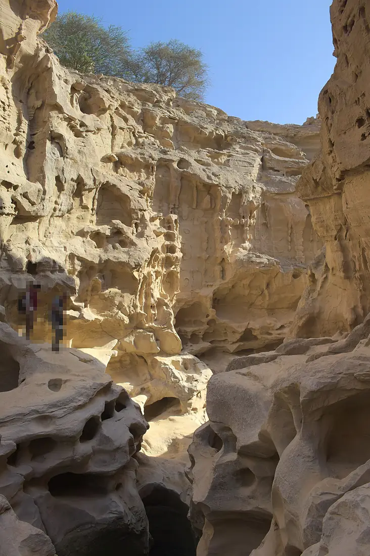 Chah Kooh Valley II