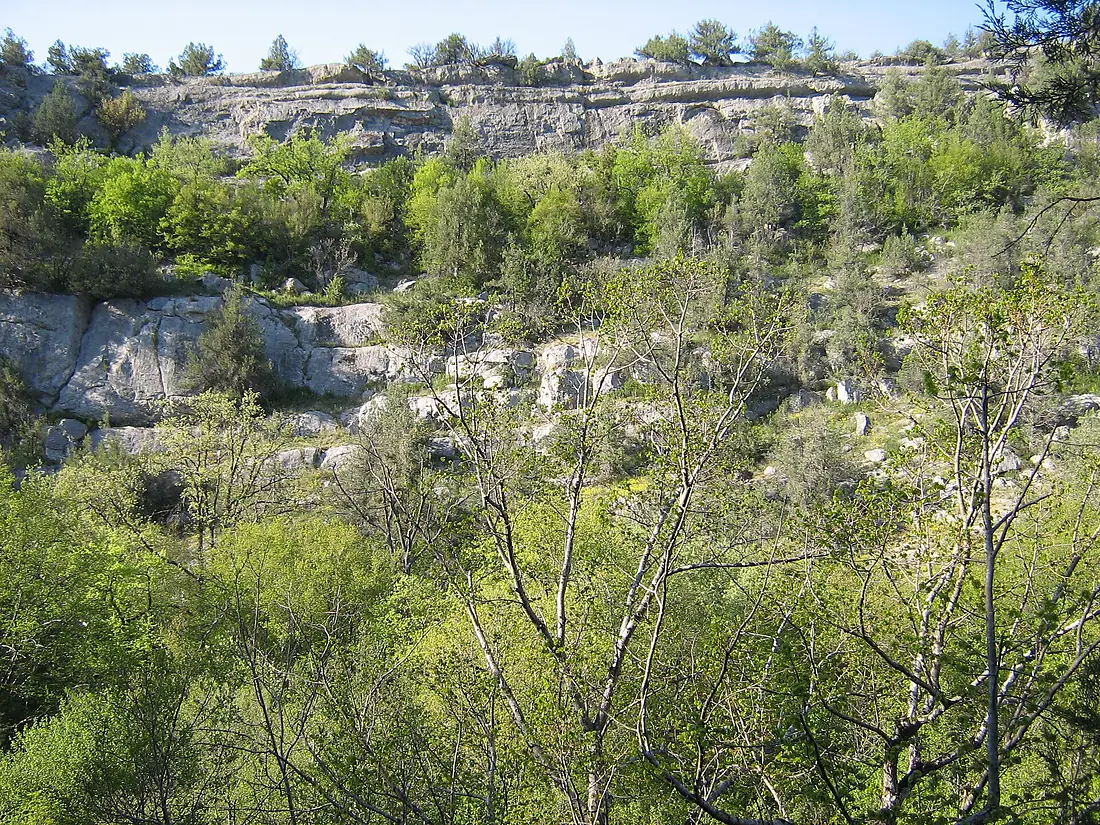Chernorechesky kanion skaly