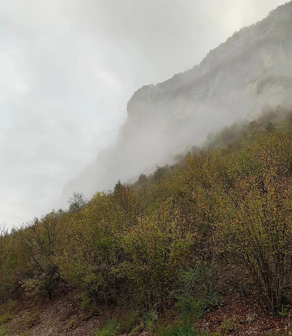 Cluse des Hôpitaux dans le brouillard un matin d'octobre 2019 (1)