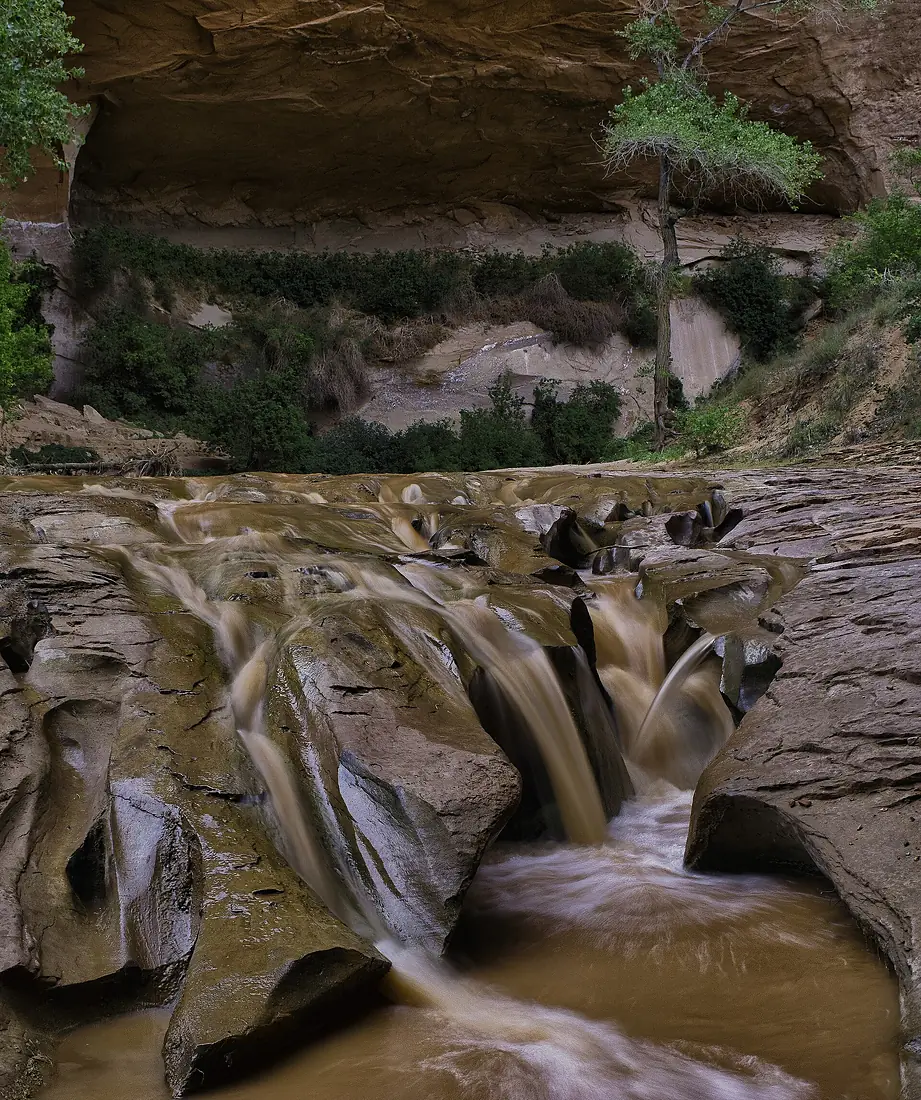 Coyote Creek Cascade (6120503480)