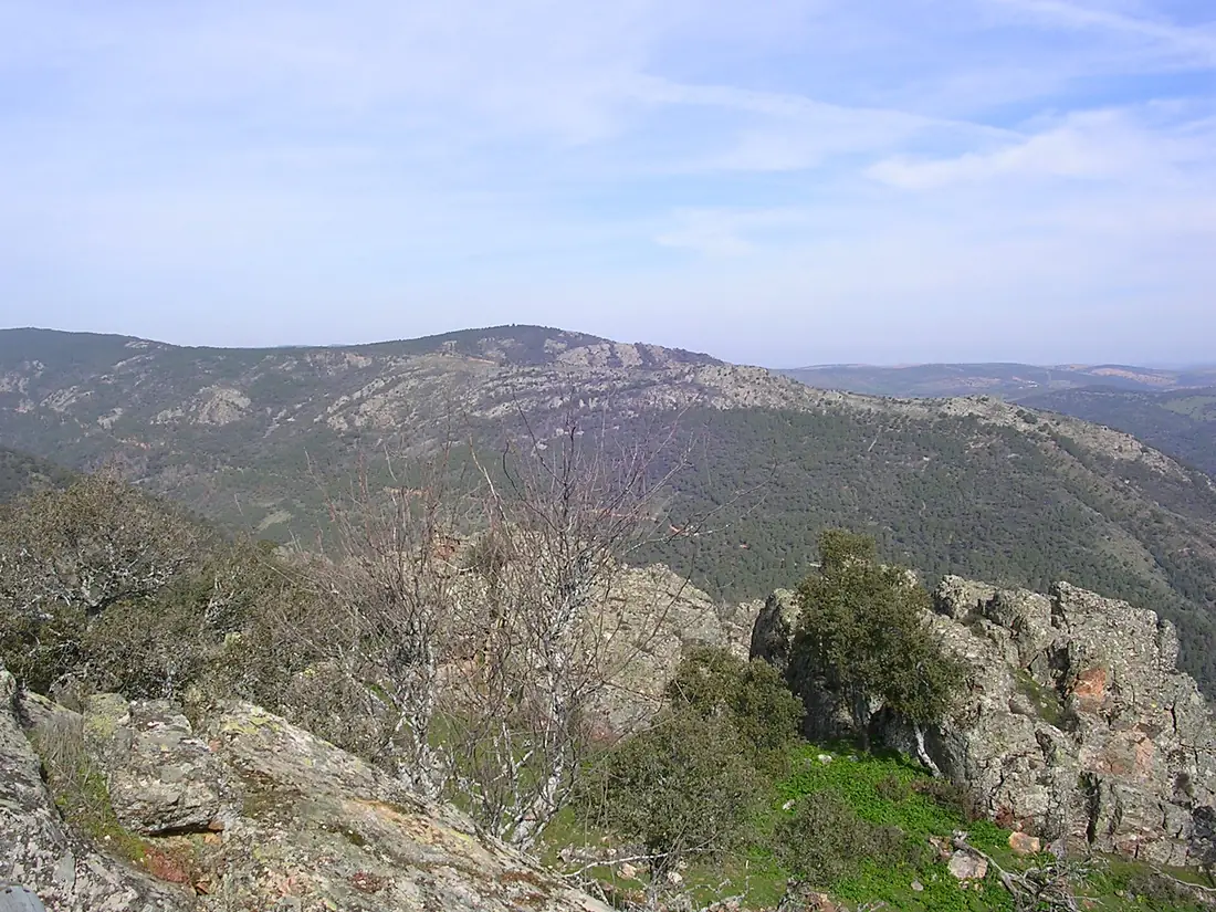 P n despenaperros