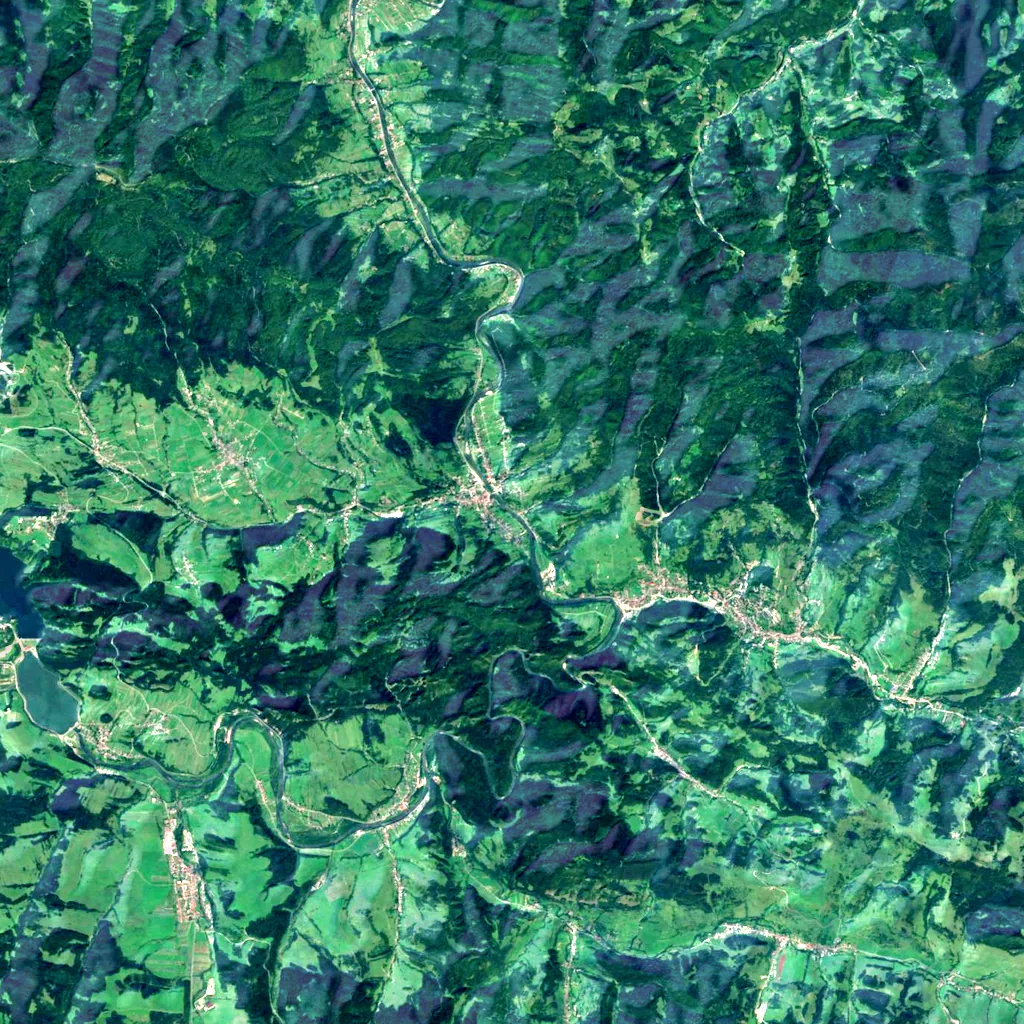 Dunajec River Gorge seen from above (Sentinel-2)