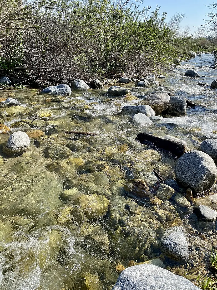 Eaton Creek in Pasadena, California 2024 Feb