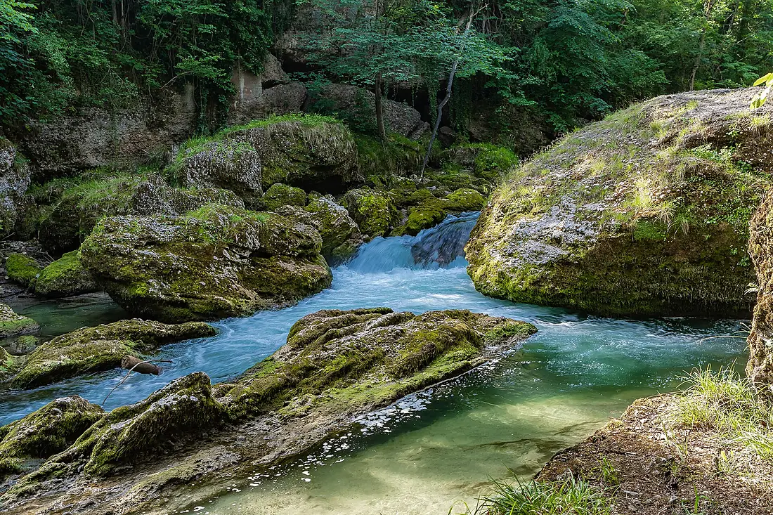 Purgstall adE Erlaufschlucht Fischersteig-2840