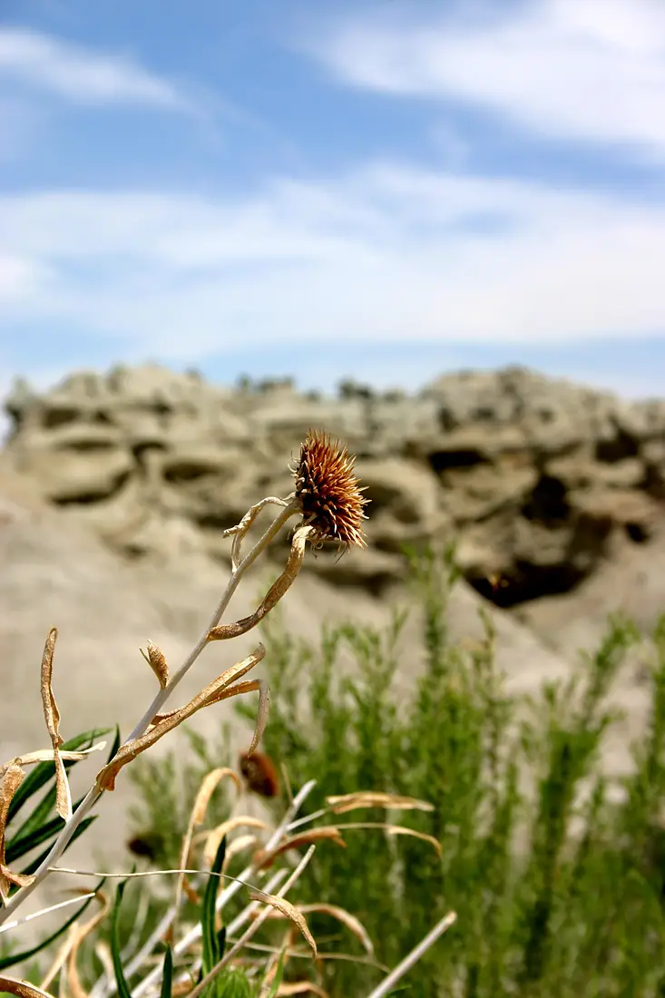 Fantasy Canyon (28133365980)