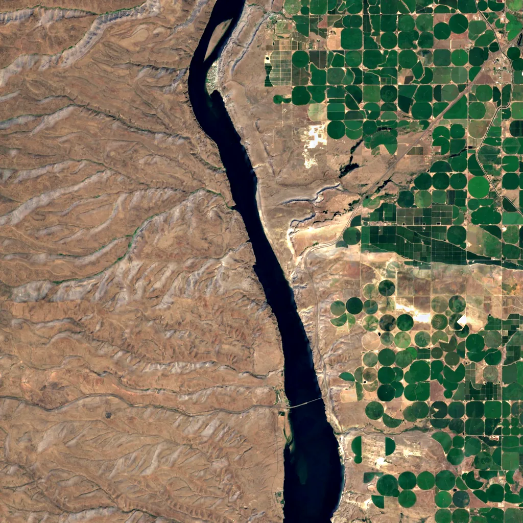 Frenchman Coulee seen from above (Sentinel-2)