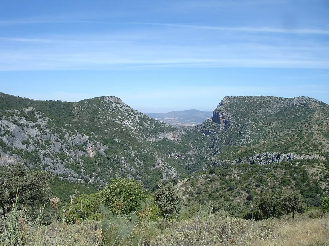 GargantaVerde-dsc02123