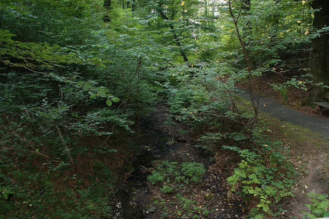 Bad Gleichenberg-Gleichenberger Schlucht-02ASD