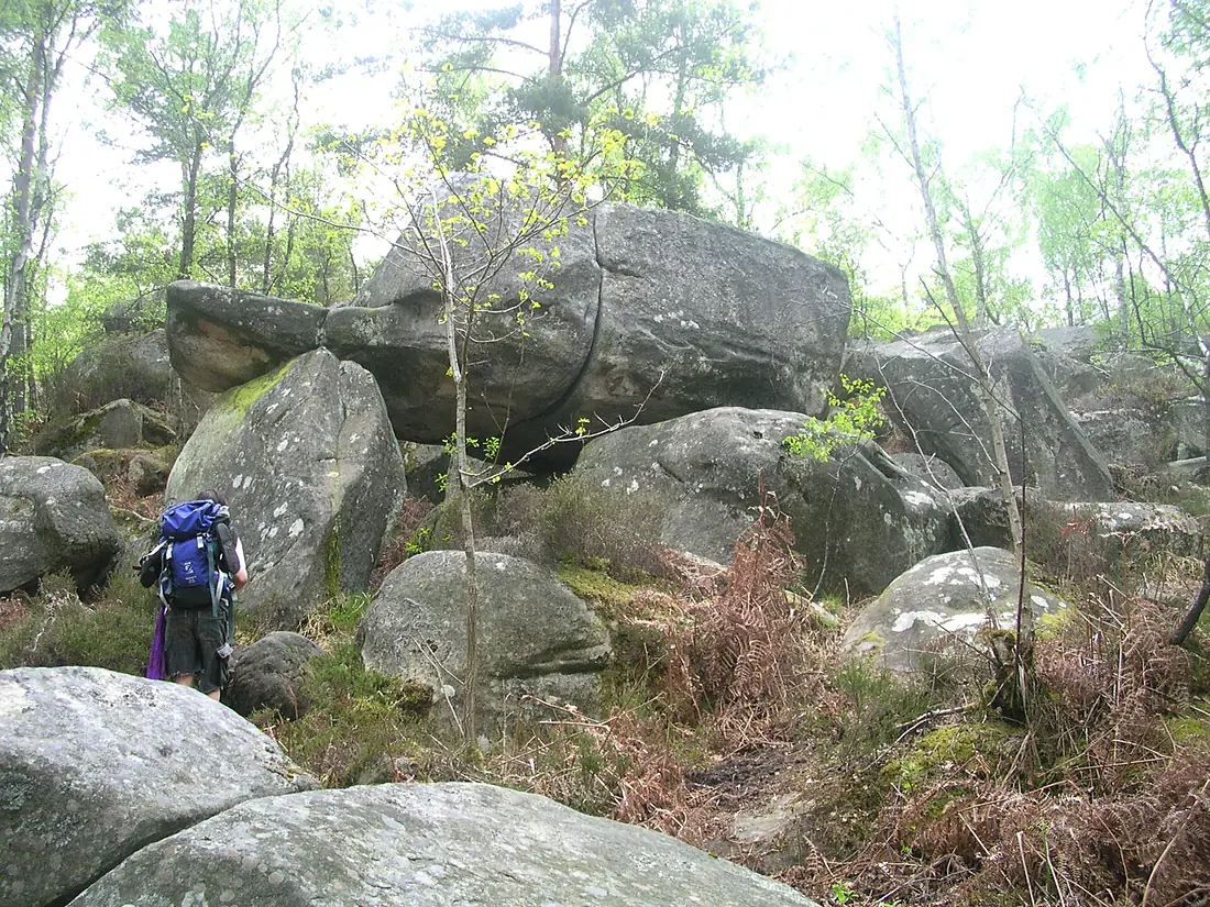 Fontainebleau apremont