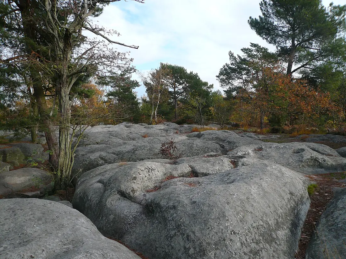 Fontainebleau Platière Apremont