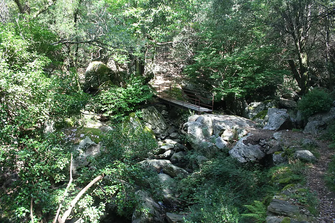 Colombieres passerelle