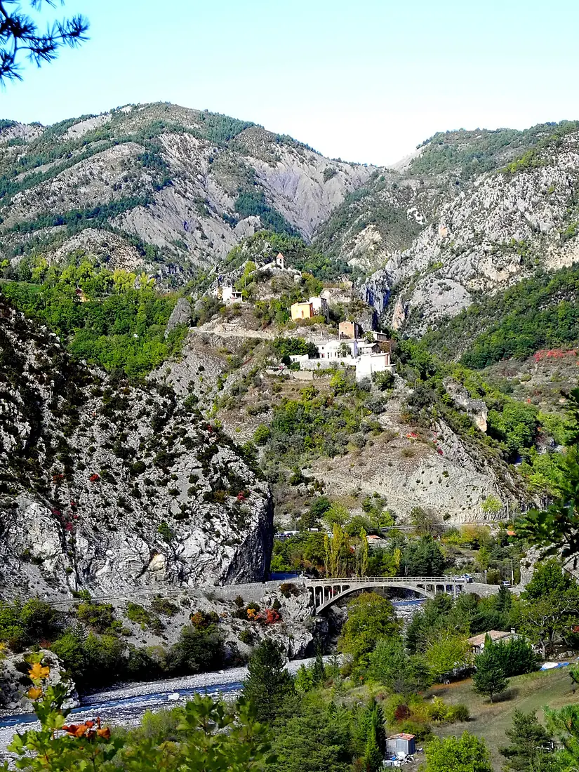 Daluis 10