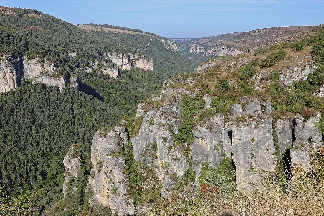 00 0338 Gorges de la Jonte - Cévennes