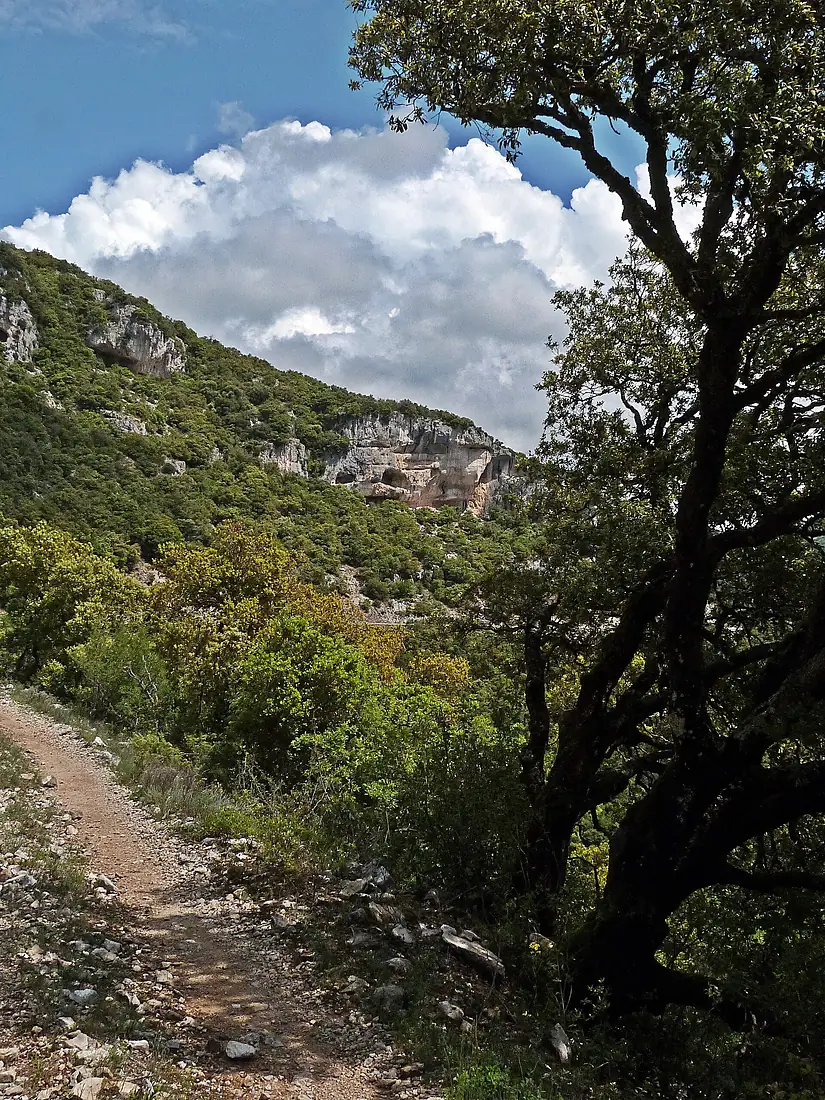 DPNesqueSchlucht01