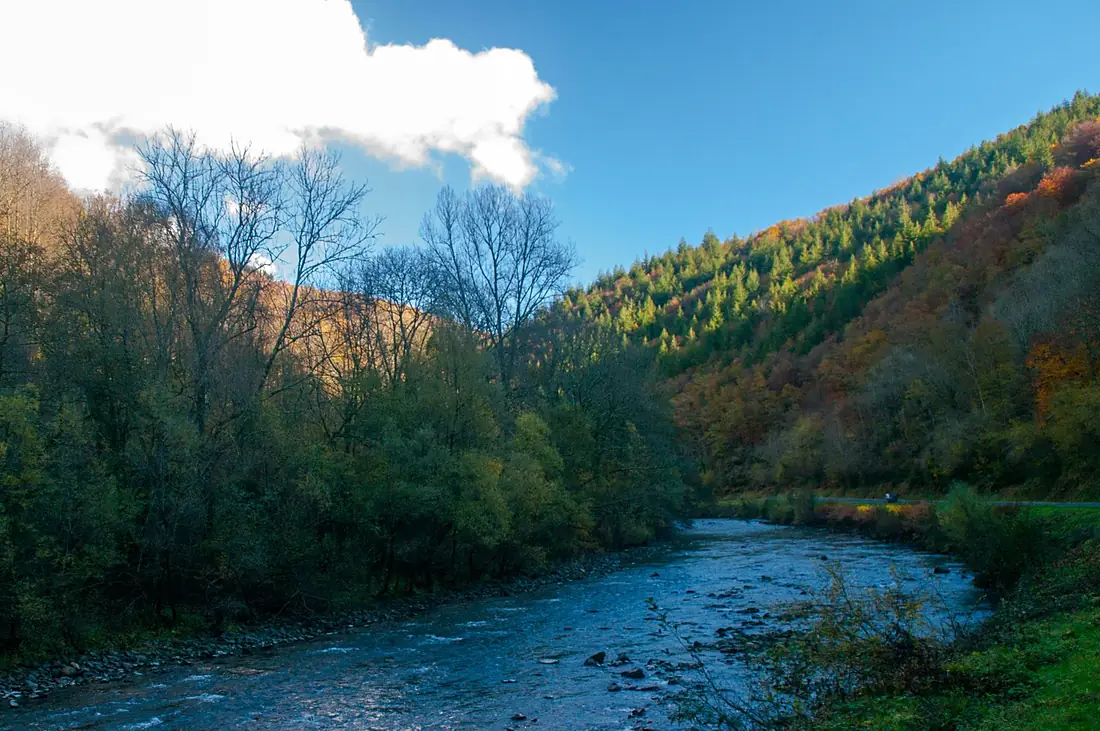 Gorge de la Ribaute (Ariège)