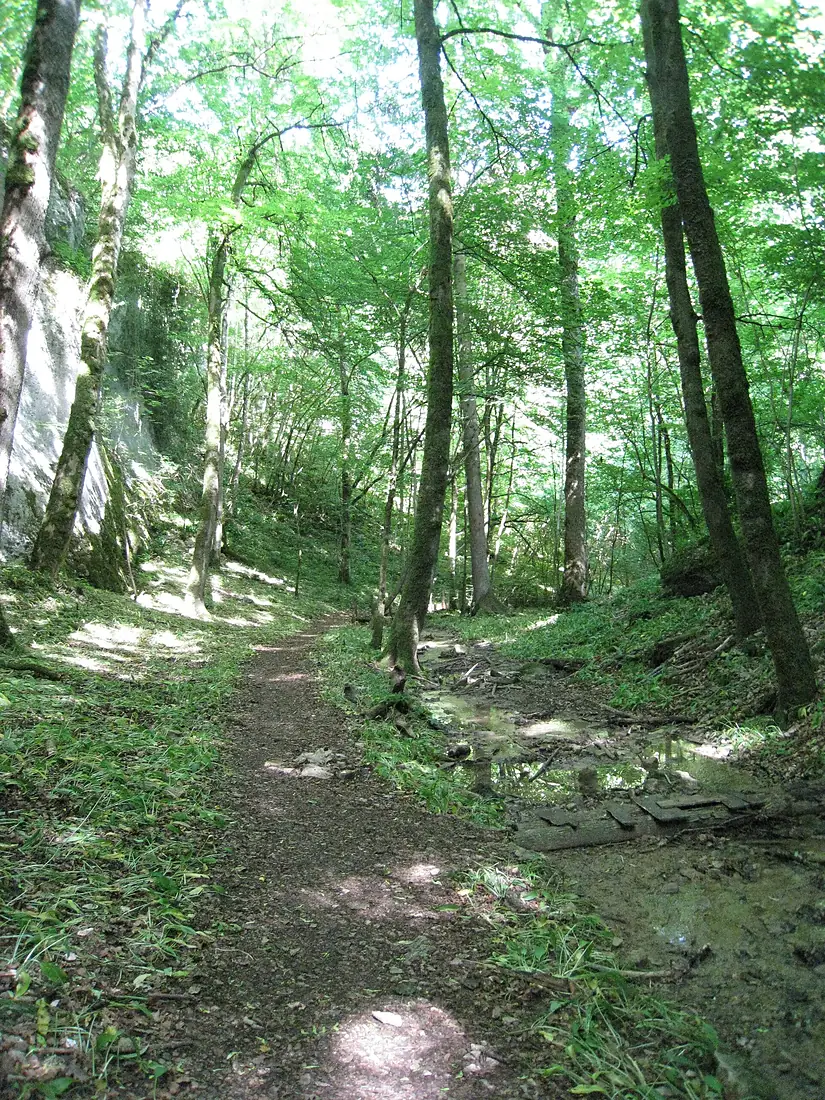 Gorges de la Vingeanne 01