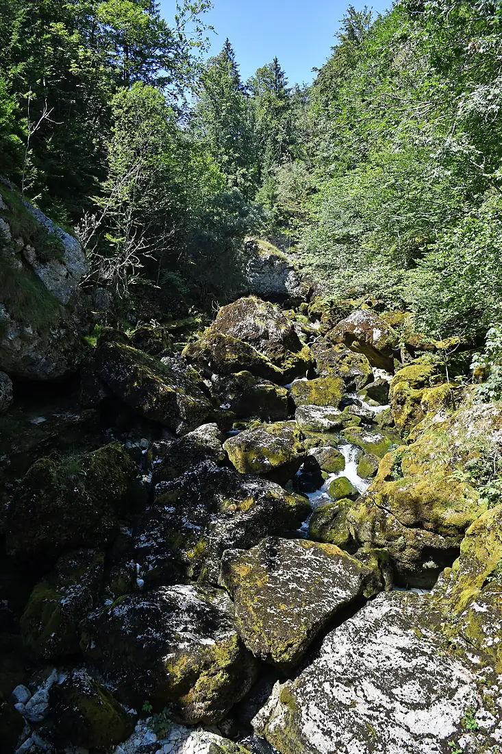 Gorges de l'Orbe (1)