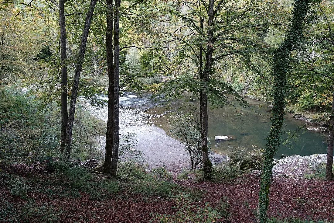 Canyon @ Gorges du Fier @ Lovagny (36831949113)