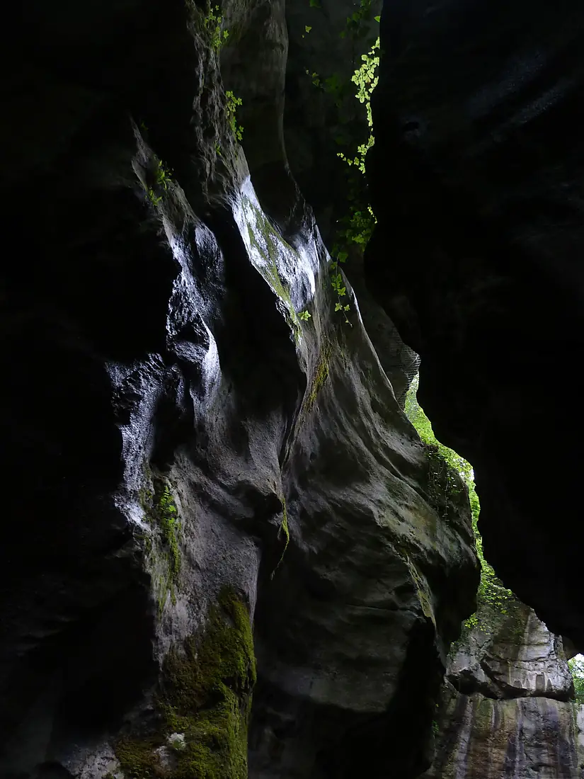 Gorges du Fier (21860099224)
