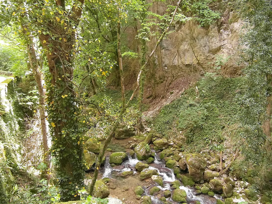 Le Nan à Cognin les gorges