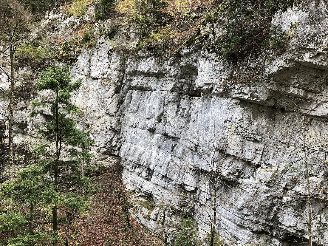 Falaise des gorges du Pichoux