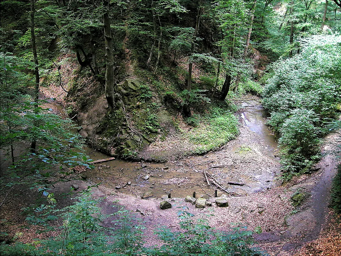 Hagenbachklamm2