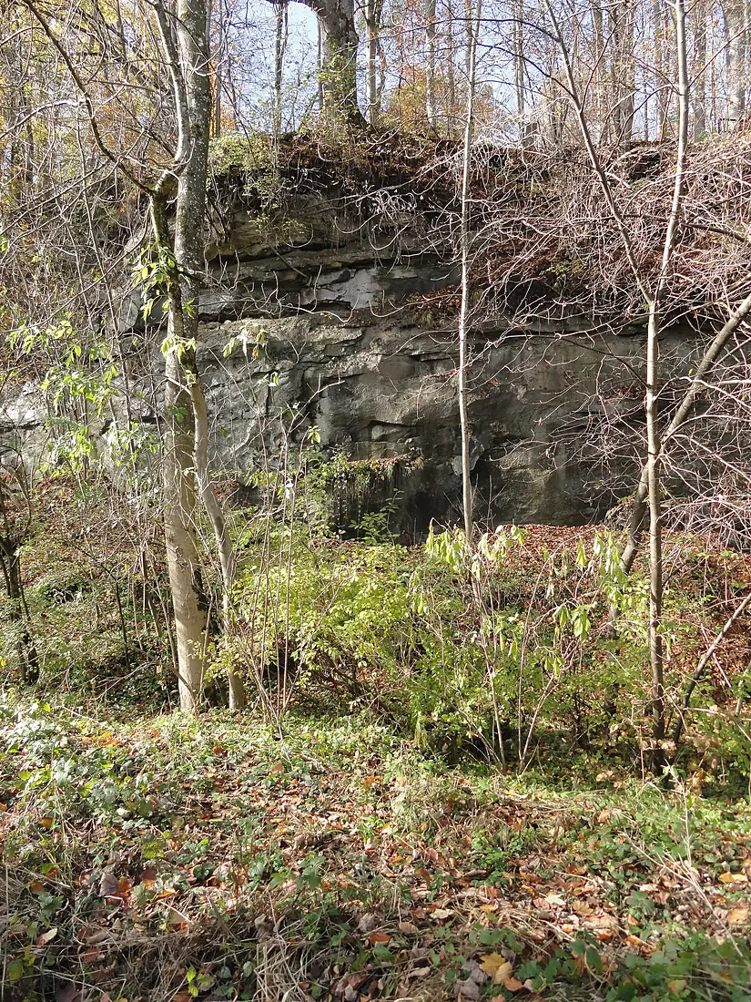 Untere Süßwassermolasse Iller-Kempten (1)