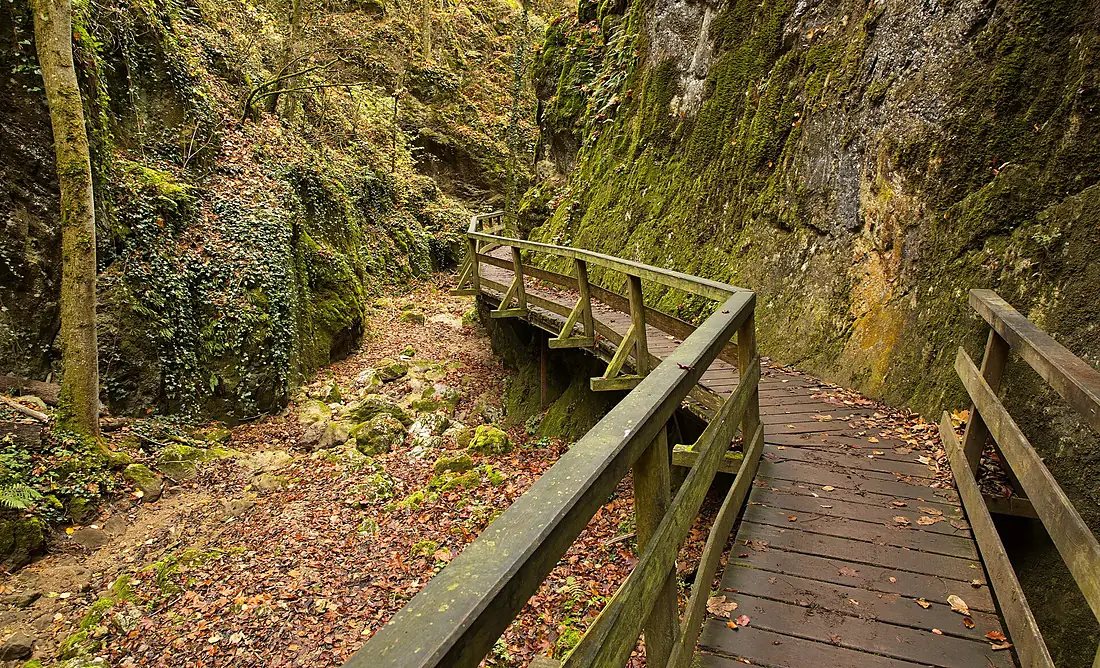 Herbst in der Johannesbachklamm 02