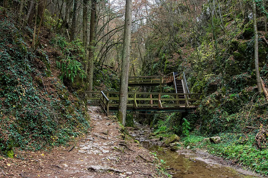 Johannesbachklamm 2022 01 Ost