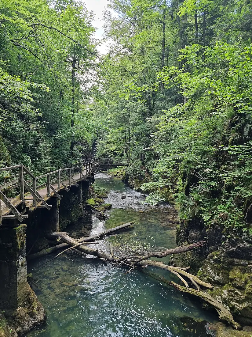 Kanjon Kamačnik
