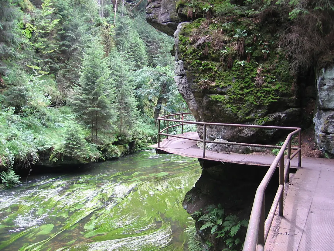 Kamenice - Wild Canyon 01