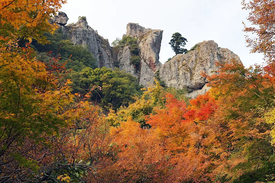 201211Kankakei Shodoshima Kagawa pref Japan01s3