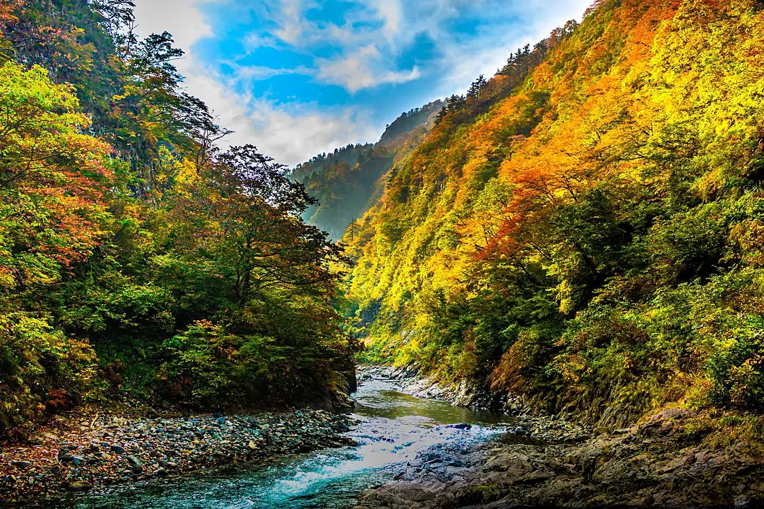 Find47 Niigata-A Gorge dyed with autumn colors. (Kiyotsu Gorge, Tsunan Town) -m
