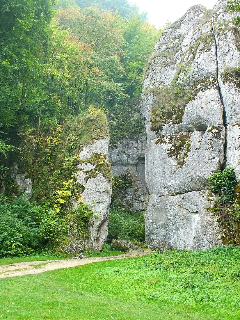 Brama Krakowska, specjalny obszar ochrony siedlisk Dolina Prądnika