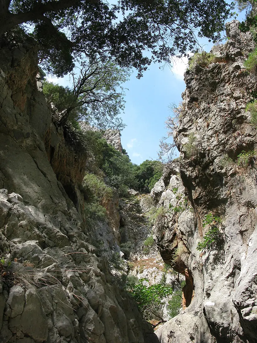 Kritsa-Schlucht, Kreta