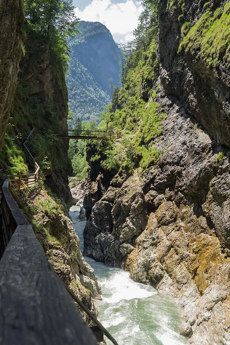 Lammerklamm SW163197