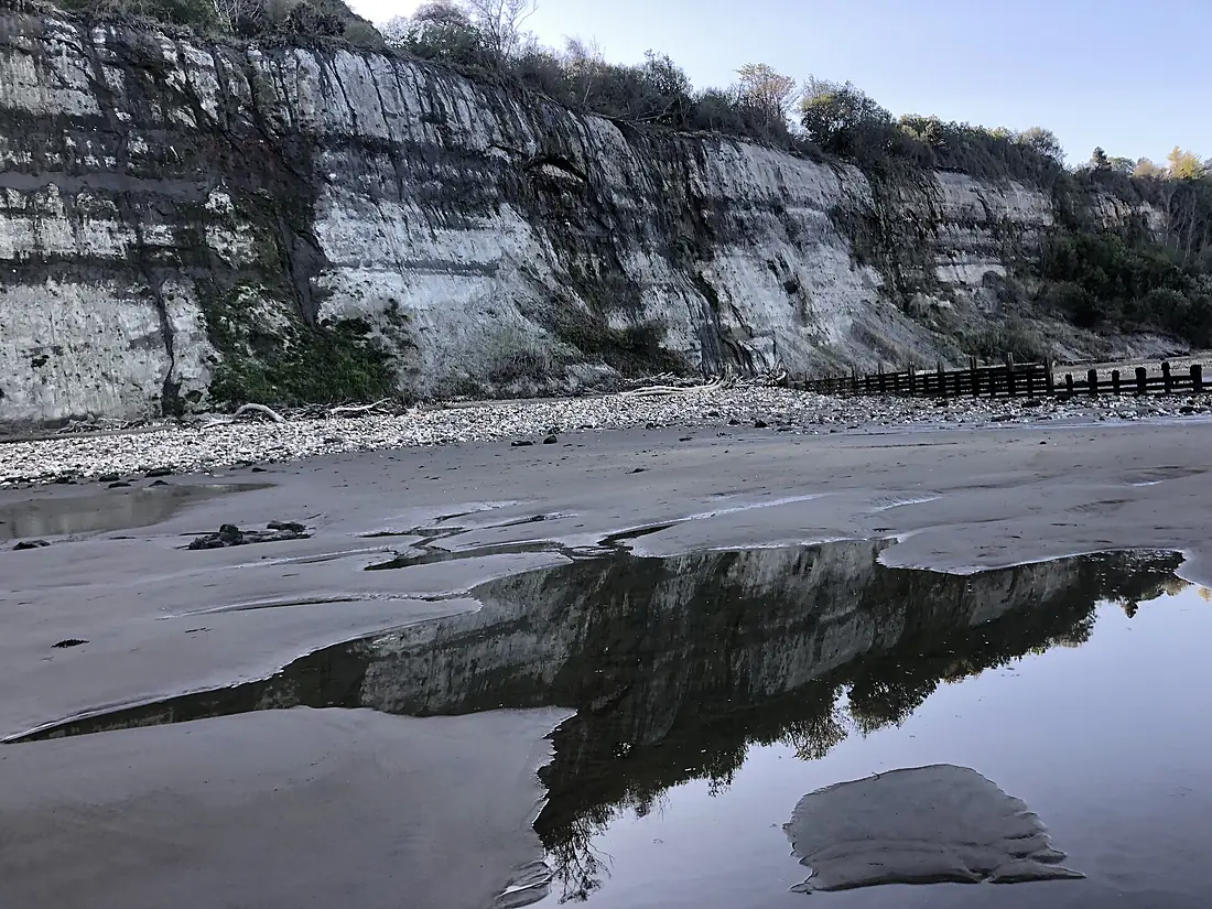 Luccombe Beach and Cliffs