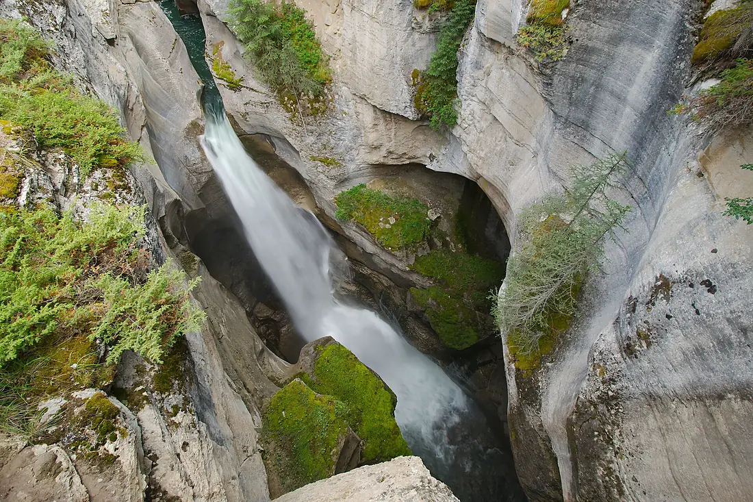Gazing down into Maligne Canyon