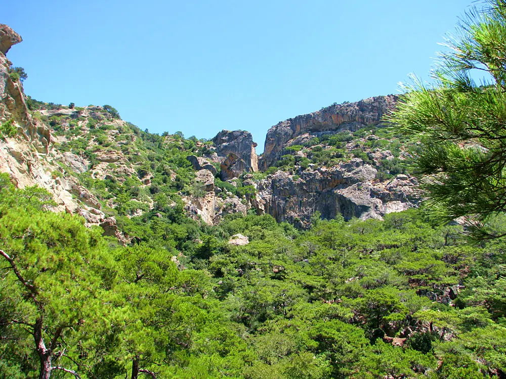 Faraggi-mylona