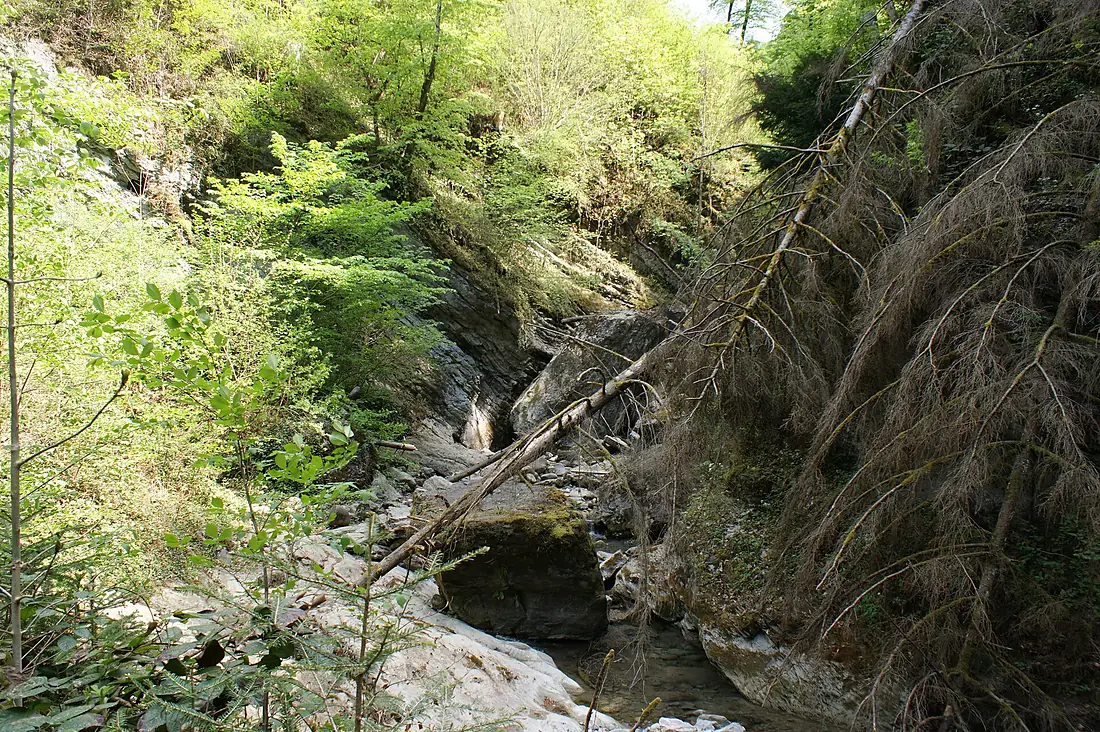 Goetzis-Oerflaschlucht-01ASD