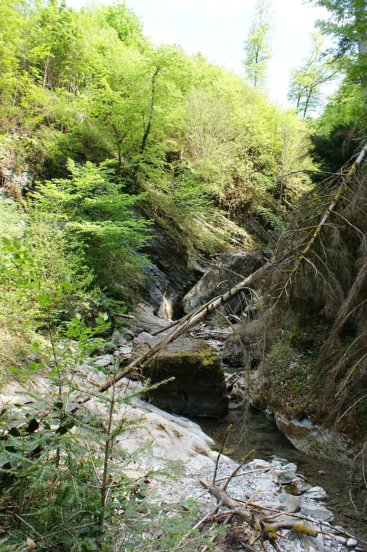 Goetzis-Oerflaschlucht-02ASD