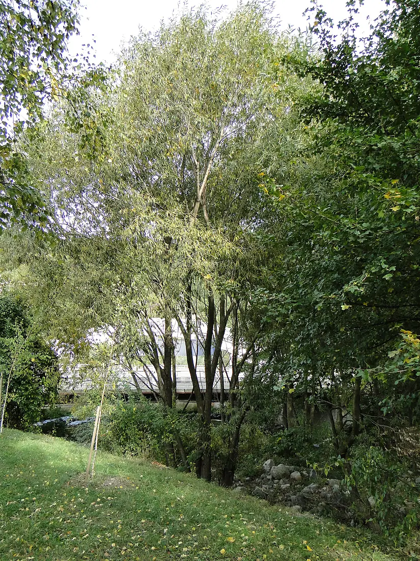 София, 17.October 2012 - panoramio (36)