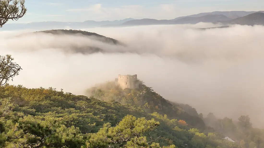Emmerberg Ruine Prosset Nebel 2016 1023