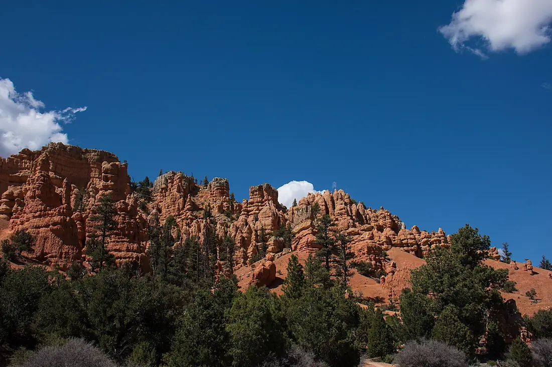 Dixie National Forest Utah (28646011132)