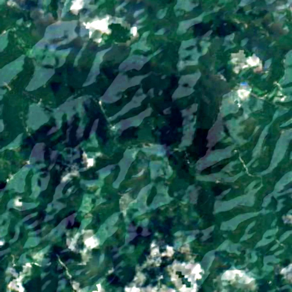 Red River Gorge seen from above (Sentinel-2)