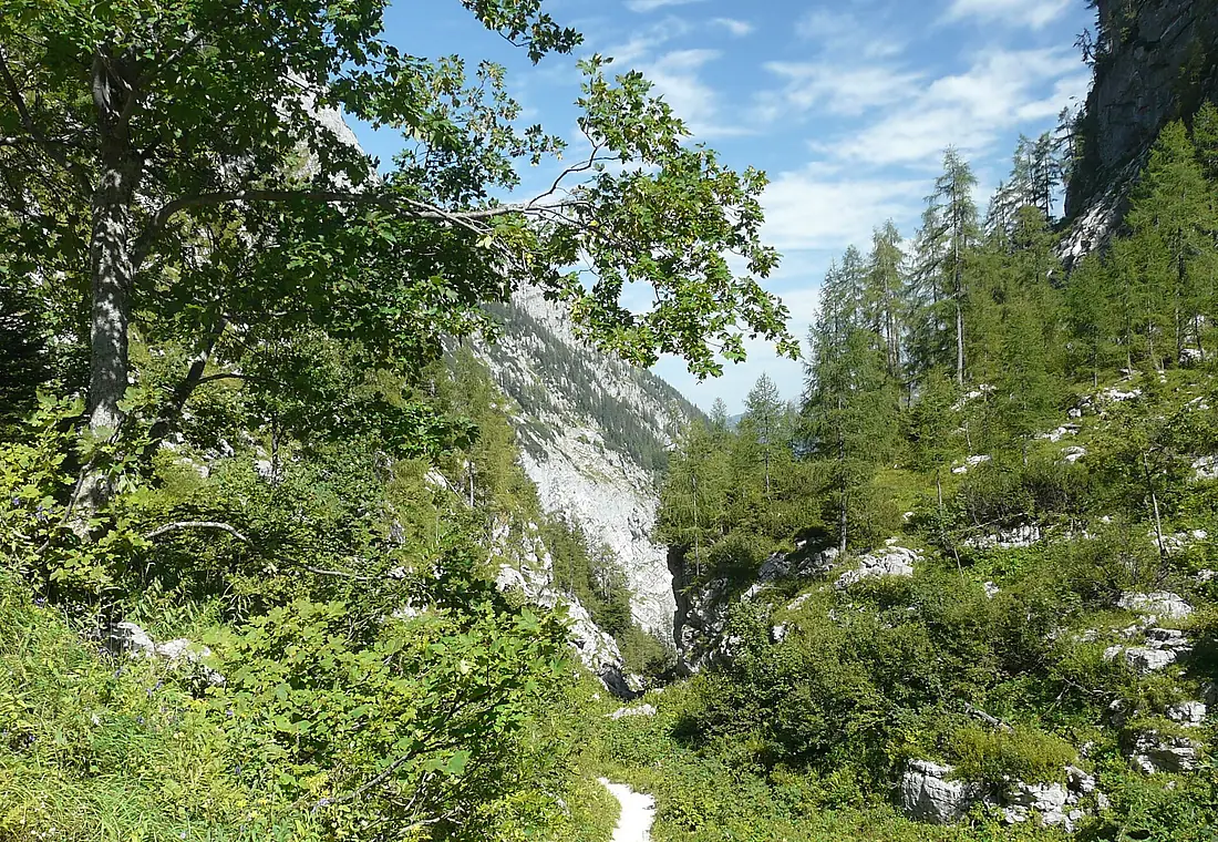 Saugasse (oben)